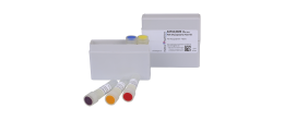 PCR Mycoplasma Test Kit - 20 test