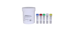 PCR Mycoplasma Test Kit II - 25 test