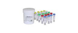 PCR Mycoplasma Test Kit II - 4 x 25 test